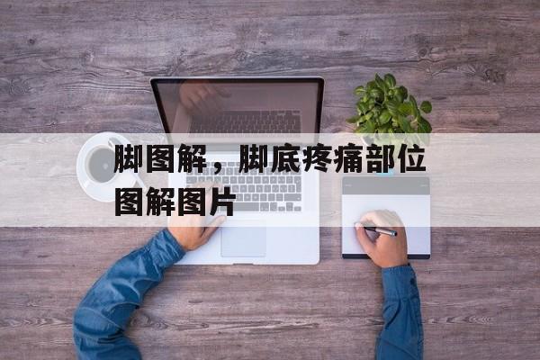 脚图解，脚底疼痛部位图解图片-第1张图片-