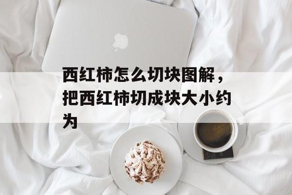西红柿怎么切块图解，把西红柿切成块大小约为-第1张图片-