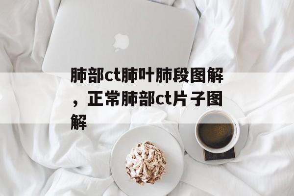 肺部ct肺叶肺段图解，正常肺部ct片子图解-第1张图片-