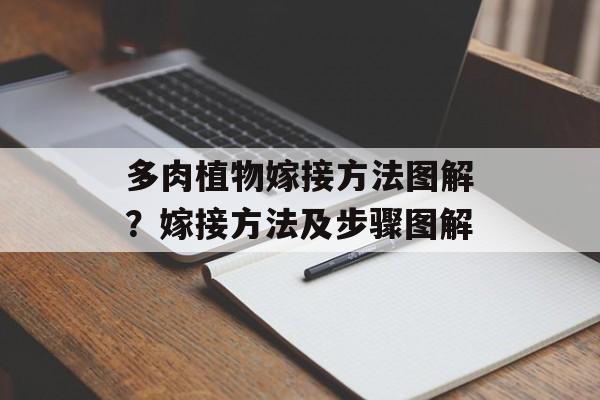 多肉植物嫁接方法图解？嫁接方法及步骤图解-第1张图片-