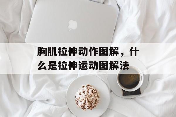 胸肌拉伸动作图解，什么是拉伸运动图解法-第1张图片-