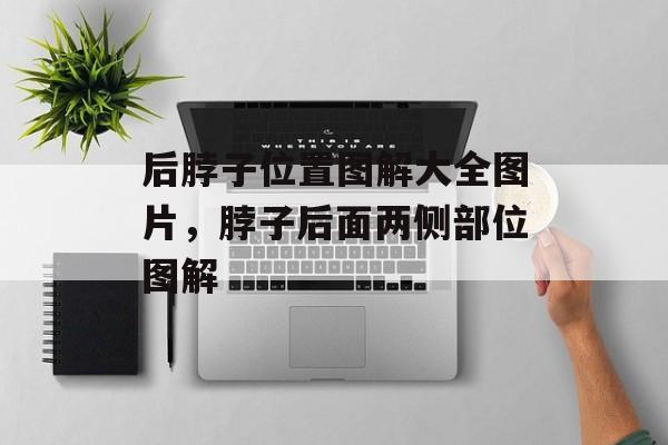 后脖子位置图解大全图片，脖子后面两侧部位图解-第1张图片-