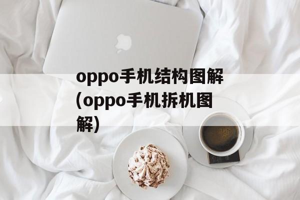 oppo手机结构图解(oppo手机拆机图解)-第1张图片-