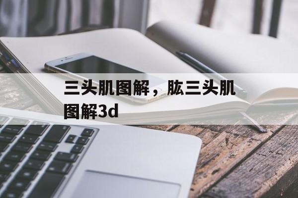 三头肌图解，肱三头肌图解3d-第1张图片-