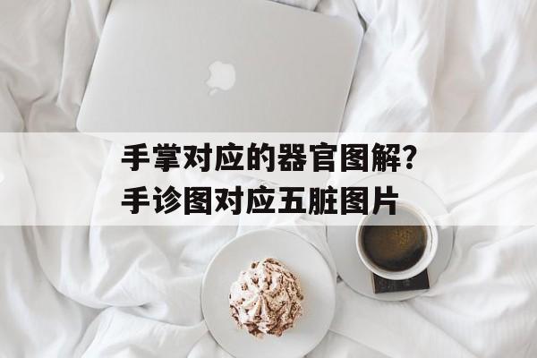 手掌对应的器官图解？手诊图对应五脏图片-第1张图片-