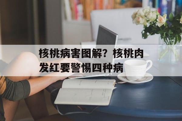 核桃病害图解？核桃肉发红要警惕四种病-第1张图片-