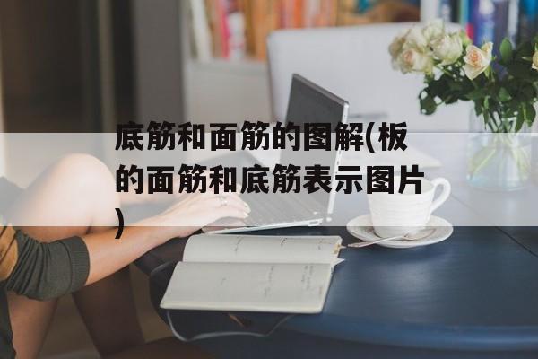 底筋和面筋的图解(板的面筋和底筋表示图片)-第1张图片-