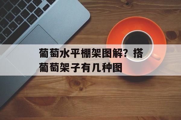 葡萄水平棚架图解？搭葡萄架子有几种图-第1张图片-