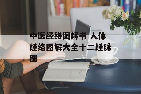 中医经络图解书 人体经络图解大全十二经脉图-第1张图片-