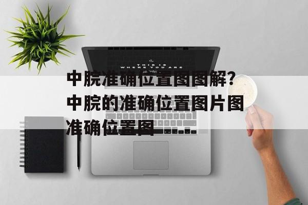 中脘准确位置图图解？中脘的准确位置图片图准确位置图-第1张图片-