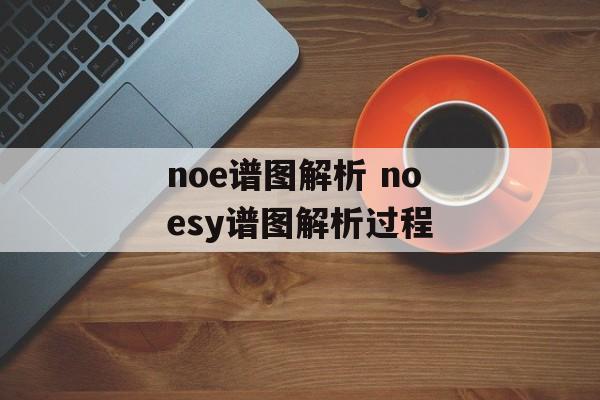 noe谱图解析 noesy谱图解析过程-第1张图片-