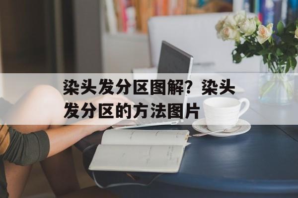 染头发分区图解？染头发分区的方法图片-第1张图片-