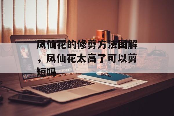 凤仙花的修剪方法图解，凤仙花太高了可以剪短吗-第1张图片-