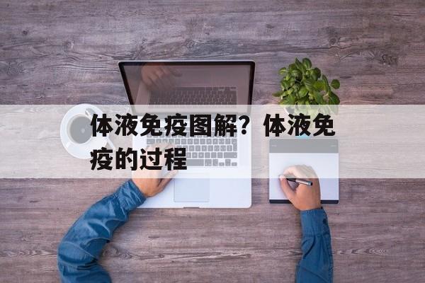 体液免疫图解？体液免疫的过程-第1张图片-