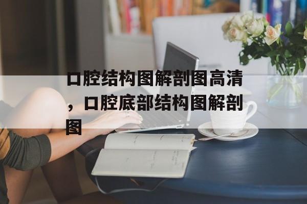 口腔结构图解剖图高清，口腔底部结构图解剖图-第1张图片-