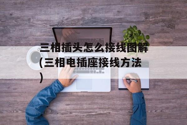 三相插头怎么接线图解(三相电插座接线方法)-第1张图片-