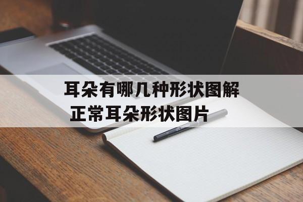 耳朵有哪几种形状图解 正常耳朵形状图片-第1张图片-