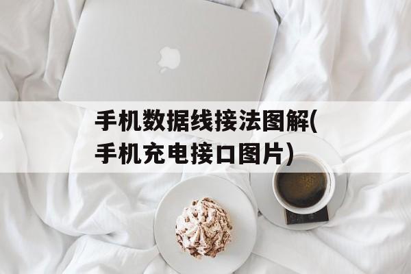手机数据线接法图解(手机充电接口图片)-第1张图片-