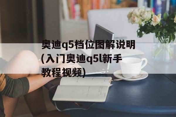 奥迪q5档位图解说明(入门奥迪q5l新手教程视频)-第1张图片-