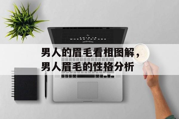 男人的眉毛看相图解，男人眉毛的性格分析-第1张图片-