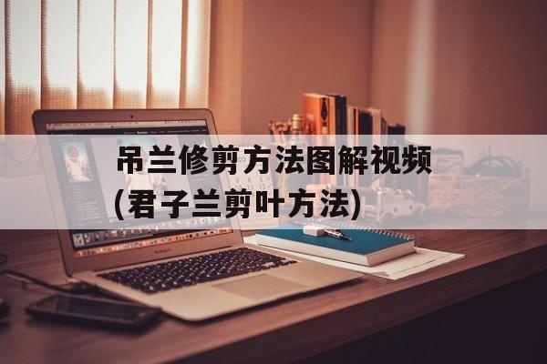 吊兰修剪方法图解视频(君子兰剪叶方法)-第1张图片-