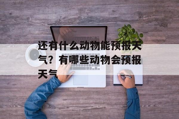 还有什么动物能预报天气？有哪些动物会预报天气-第1张图片-