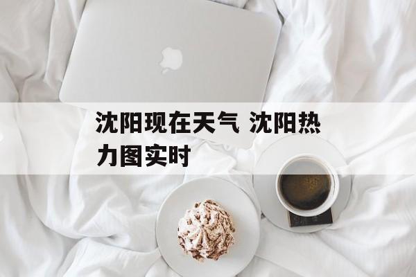 沈阳现在天气 沈阳热力图实时-第1张图片-