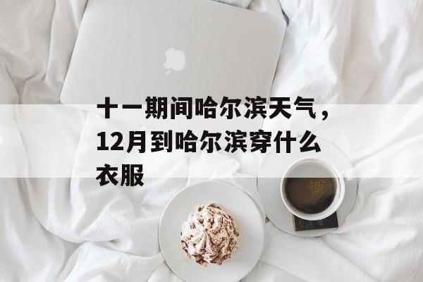 十一期间哈尔滨天气，12月到哈尔滨穿什么衣服-第1张图片-