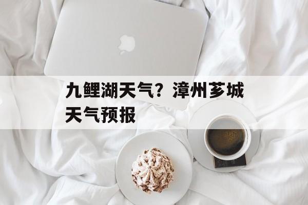 九鲤湖天气？漳州芗城天气预报-第1张图片-