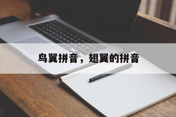 鸟翼拼音，翅翼的拼音-第1张图片-