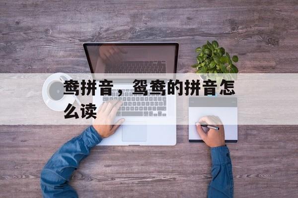 鸯拼音，鸳鸯的拼音怎么读-第1张图片-