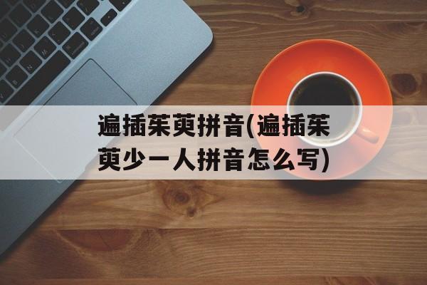遍插茱萸拼音(遍插茱萸少一人拼音怎么写)-第1张图片-